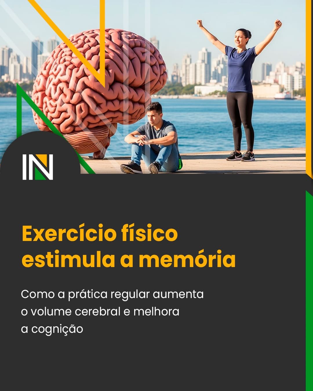 Exercício físico estimula a memória